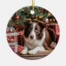 Pesquisar por border collie ornamentos Natal