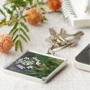 Pesquisar por flores brancas chaveiros Fotografia