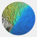 Pesquisar por pancada adesivos Azul