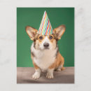 Pesquisar por corgi cartoes Filhote