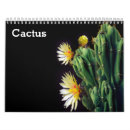 Pesquisar por cactos do cacto calendarios Cactus