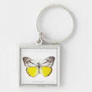 Pesquisar por animais bonitos chaveiros Natureza