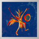 Pesquisar por astrofísica pósteres pôsteres Estrela