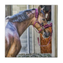 Pesquisar por cabeça azulejos Equino