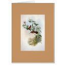 Pesquisar por gould Colibri