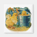 Pesquisar por pintinho amarelo imas Flor