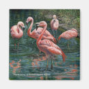 Pesquisar por flamingo tropical imas Arte