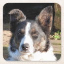 Pesquisar por dog porta copos Animal