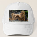 Pesquisar por canino bones Terrier