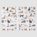 Pesquisar por diferente papeis de seda Moderno