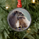 Pesquisar por marmota ornamentos Animais selvagens