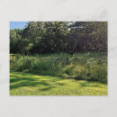 Pesquisar por peru selvagem cartoes postais Rio