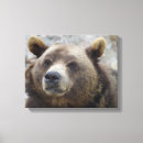 Pesquisar por urso ursinho impressão de canvas Natureza