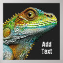 Pesquisar por iguanas pôsteres Animais