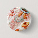 Pesquisar por água viva acessorios Ernst haeckel