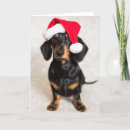 Pesquisar por dachshund puppy cartoes Bonitinho