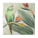 Pesquisar por da folha azulejos Folhas