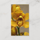 Pesquisar por orquídea amarela cartao de visita Flor