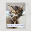 Pesquisar por gato gatinho convites Humor