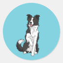 Pesquisar por amante de border collie adesivos Mãe de cachorro