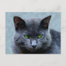 Pesquisar por gato olhos verdes cartoes postais Arte