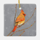 Pesquisar por galho ornamentos Neve