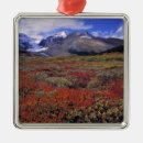 Pesquisar por mirtilo ornamentos Natureza