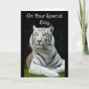 Pesquisar por tigre branco cartoes Grandes felinos