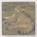Pesquisar por perigoso porta copos Gato