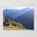 Pesquisar por machu picchu cartoes postais Montanhas