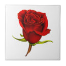 Pesquisar por cor rosa petalas azulejos Vermelho