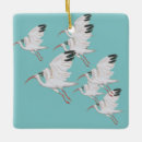 Pesquisar por íbis ornamentos Ibis
