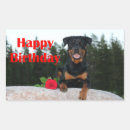 Pesquisar por rottweiler adesivos Podre