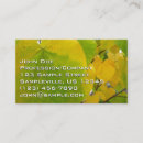 Pesquisar por coração amarelo cartao de visita Verde