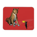 Pesquisar por oferta imas Fofofo