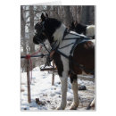Pesquisar por chicote de fios cartoes Cavalos