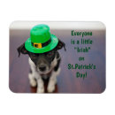 Pesquisar por do dia de st patrick imas Bonito