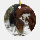Pesquisar por cavalo mustang de natal decoração Selvagem