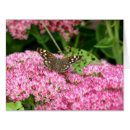 Pesquisar por da amostra cartoes Flor