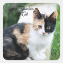 Pesquisar por fantasma adesivos Gato