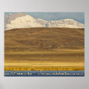 Pesquisar por migração pôsteres Ganso
