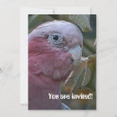 Pesquisar por austrália convites Animal