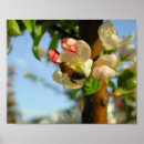 Pesquisar por 8x10 pôsteres Animal