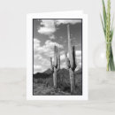Pesquisar por cacti cartoes Desert
