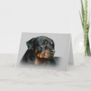 Pesquisar por cão do rottweiler horizontal cartoes Rottie