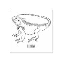 Pesquisar por lagarta artesanato material Réptil