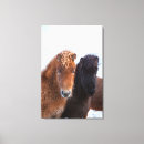 Pesquisar por cabeça cavalo de impressão de canvas Animal
