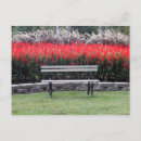 Pesquisar por photo cartoes postais Floral