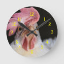 Pesquisar por penta pósteres pôsteres Engraçado