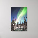 Pesquisar por aurora boreal impressão de canvas Borealis da aurora